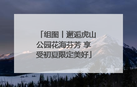 组图丨邂逅虎山公园花海芬芳 享受初夏限定美好