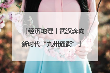 经济地理丨武汉奔向新时代“九州通衢”