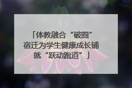 体教融合“破圈” 宿迁为学生健康成长铺就“跃动跑道”
