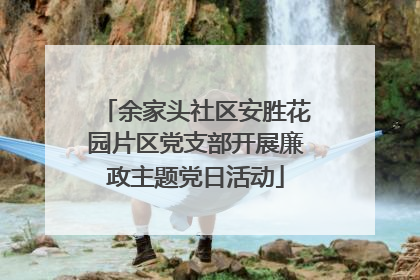 余家头社区安胜花园片区党支部开展廉政主题党日活动