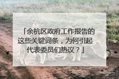 余杭区政府工作报告的这些关键词条，为何引起代表委员们热议？