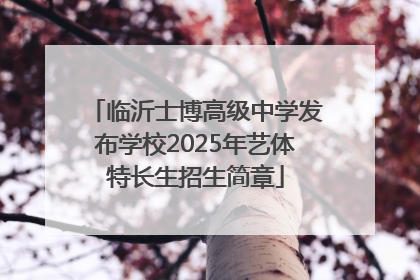 临沂士博高级中学发布学校2025年艺体特长生招生简章