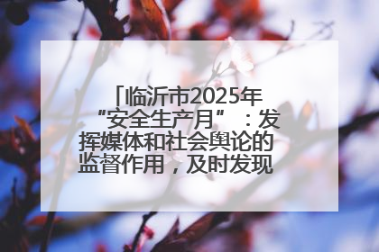 临沂市2025年“安全生产月”：发挥媒体和社会舆论的监督作用，及时发现并消除安全隐患
