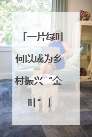 一片绿叶何以成为乡村振兴“金叶”