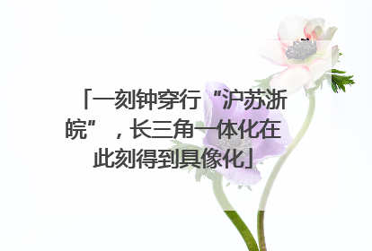 一刻钟穿行“沪苏浙皖”，长三角一体化在此刻得到具像化