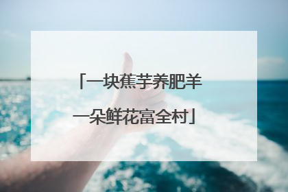 一块蕉芋养肥羊 一朵鲜花富全村