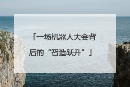 一场机器人大会背后的“智造跃升”