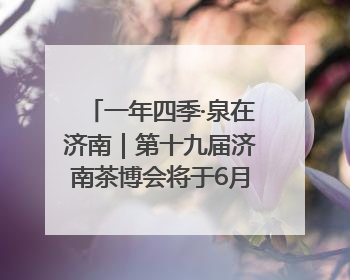 一年四季·泉在济南｜第十九届济南茶博会将于6月20日开幕