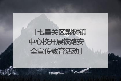 七星关区梨树镇中心校开展铁路安全宣传教育活动