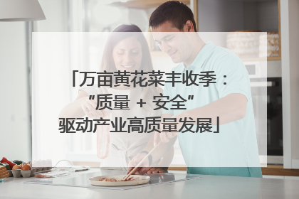 万亩黄花菜丰收季：“质量 + 安全” 驱动产业高质量发展