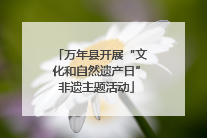 万年县开展“文化和自然遗产日”非遗主题活动