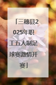 三穗县2025年职工五人制足球赛激情开赛