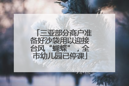 三亚部分商户准备好沙袋用以迎接台风“蝴蝶”，全市幼儿园已停课