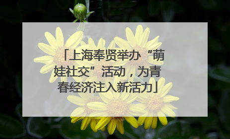 上海奉贤举办“萌娃社交”活动，为青春经济注入新活力