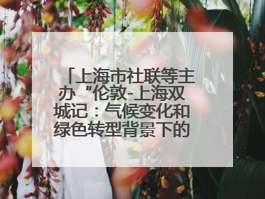 上海市社联等主办“伦敦-上海双城记：气候变化和绿色转型背景下的考古、历史和文化遗产”学术对话