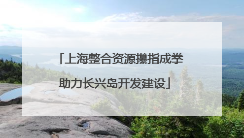 上海整合资源攥指成拳助力长兴岛开发建设