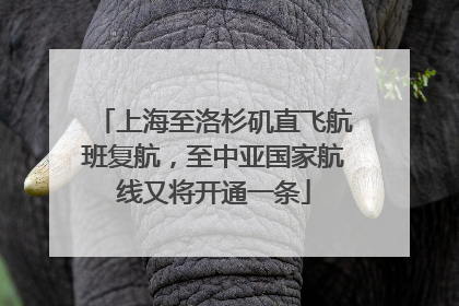 上海至洛杉矶直飞航班复航，至中亚国家航线又将开通一条