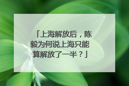 上海解放后，陈毅为何说上海只能算解放了一半？