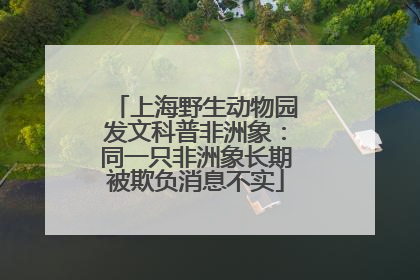 上海野生动物园发文科普非洲象：同一只非洲象长期被欺负消息不实