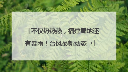不仅热热热，福建局地还有暴雨！台风最新动态→