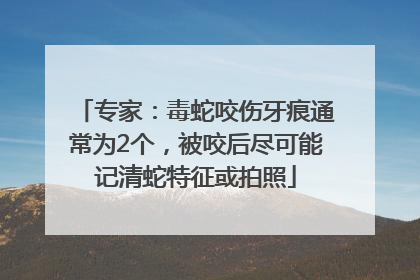 专家：毒蛇咬伤牙痕通常为2个，被咬后尽可能记清蛇特征或拍照
