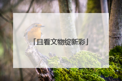 且看文物绽新彩