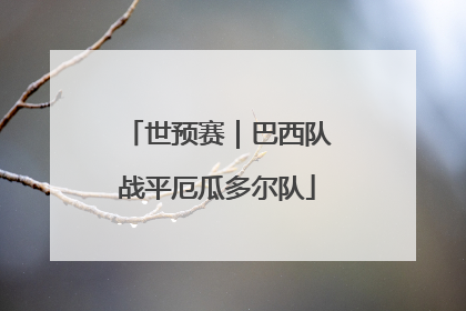 世预赛｜巴西队战平厄瓜多尔队