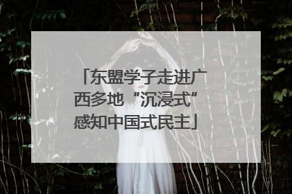 东盟学子走进广西多地“沉浸式”感知中国式民主