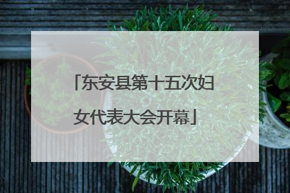 东安县第十五次妇女代表大会开幕