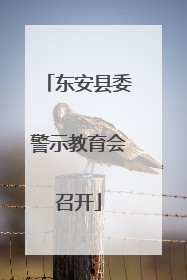 东安县委警示教育会召开