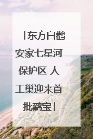 东方白鹳安家七星河保护区 人工巢迎来首批鹳宝