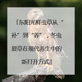 东阳光鲜虫草从“补”到“养”，冬虫夏草在现代养生中的新打开方式