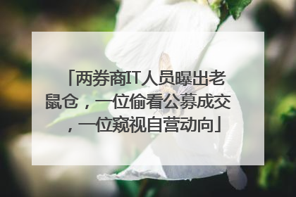 两券商IT人员曝出老鼠仓，一位偷看公募成交，一位窥视自营动向