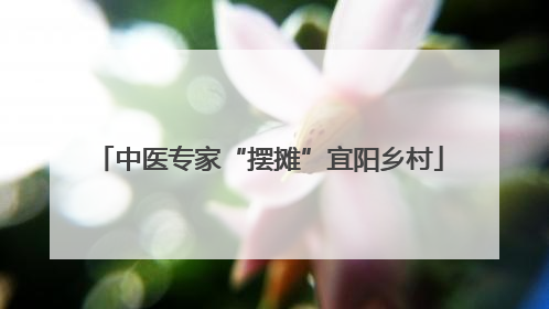 中医专家“摆摊”宜阳乡村