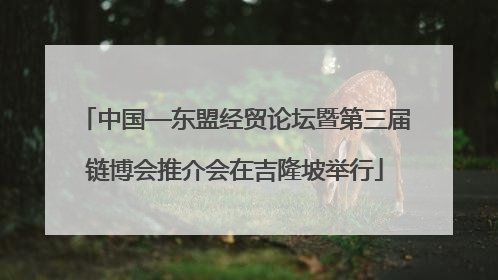 中国—东盟经贸论坛暨第三届链博会推介会在吉隆坡举行