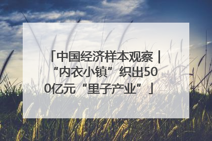 中国经济样本观察｜“内衣小镇”织出500亿元“里子产业”