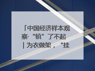 中国经济样本观察·“镇”了不起｜为衣做架，“挂”出来的80亿元“衣架产业”