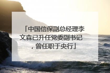 中国信保副总经理李文森已升任党委副书记，曾任职于央行