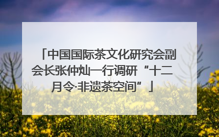 中国国际茶文化研究会副会长张仲灿一行调研“十二月令·非遗茶空间”