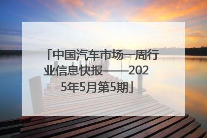 中国汽车市场一周行业信息快报——2025年5月第5期