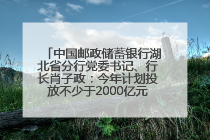 中国邮政储蓄银行湖北省分行党委书记、行长肖子政：今年计划投放不少于2000亿元支持支点建设