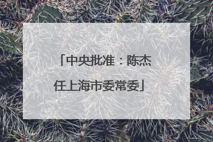 中央批准：陈杰任上海市委常委