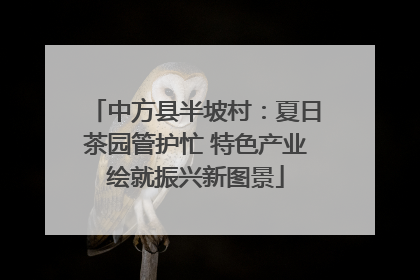 中方县半坡村：夏日茶园管护忙 特色产业绘就振兴新图景