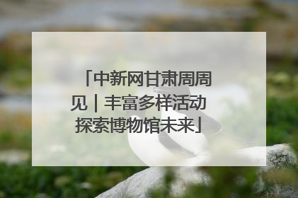 中新网甘肃周周见｜丰富多样活动探索博物馆未来
