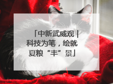 中新武威观｜科技为笔，绘就夏粮“丰”景