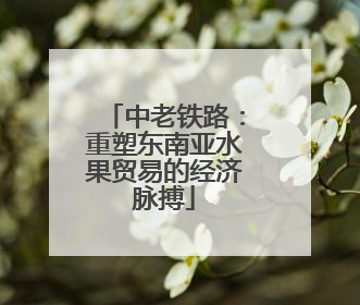 中老铁路：重塑东南亚水果贸易的经济脉搏