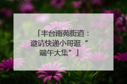 丰台南苑街道：邀请快递小哥逛“端午大集”