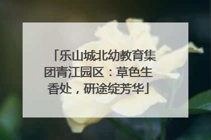 乐山城北幼教育集团青江园区：草色生香处，研途绽芳华