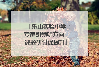 乐山实验中学：专家引领明方向，课题研讨促提升