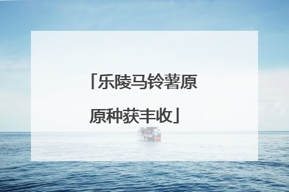 乐陵马铃薯原原种获丰收